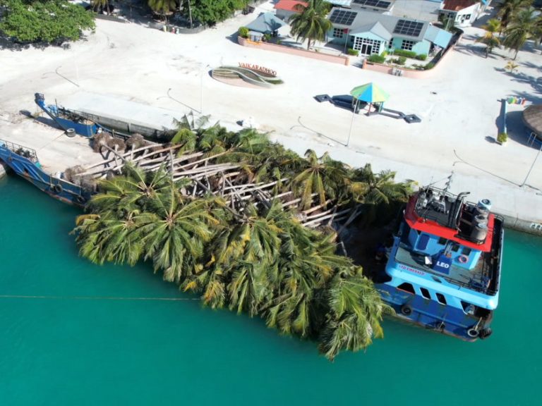 Vaikaradhoo TreeGrab Maldives Miveshi